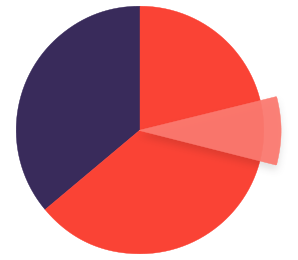 Diversity Initiatives Pie Chart