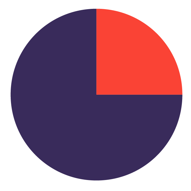 Diversity Initiatives Pie Chart