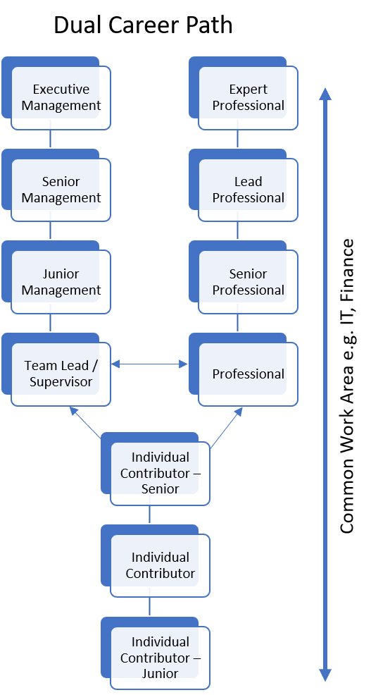 Image showing two verticle paths from individual contributer, Jr., through executive management or expert professional