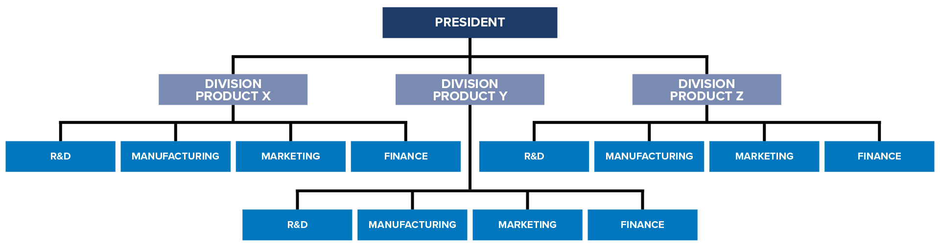 A divisional organizational structure with the president at the top and product divisions below followed by departments