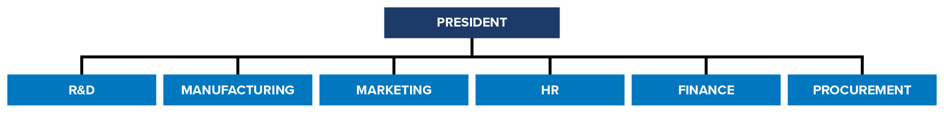 A functional organizational structure chart with the president at the top and then one line below showing different departments